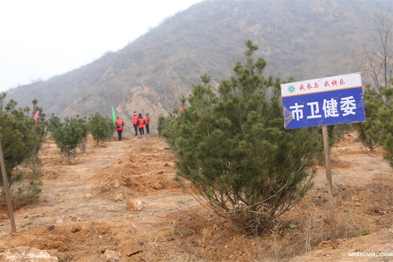 IMG_3957.jpg IMG_3957.jpg